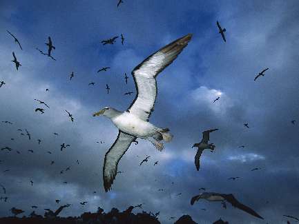 układanie kostki brukowej Turek