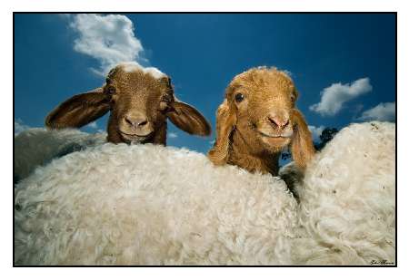 Fotowoltaika Wągrowiec Fotowoltaika Wągrowiec