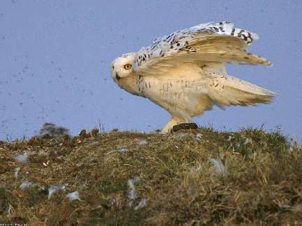Fotowoltaika Kłodzko