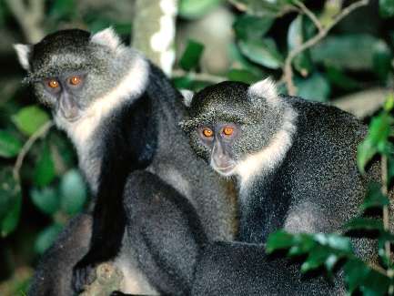 panele fotowoltaiczne Gozdnica