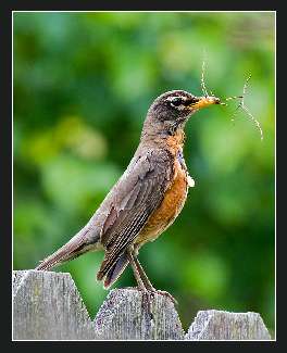 uslugi brukarskie w Bydgoszczy