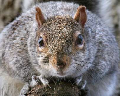układanie kostki granitowej Wrocław
