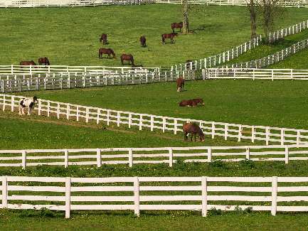 pompy ciepła 9kw Bydgoszcz