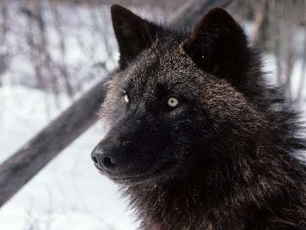 wynajem koparki Bydgoszcz