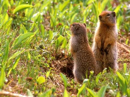 fotowoltaika Szczawno-Zdrój