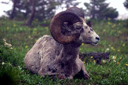 Bydgoszcz kostka brukowa ukladanie