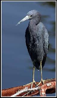 Bydgoszcz usługi koparko ładowarką