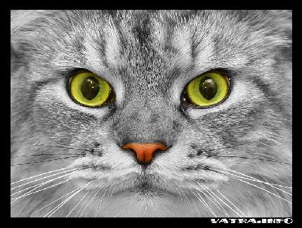 układanie kostki granitowej Bydgoszcz