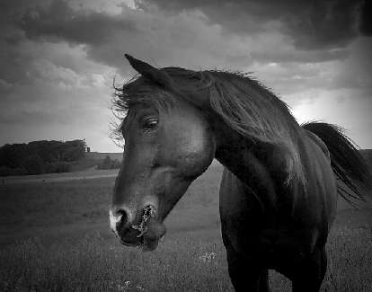 Wrocław ukladanie bruku