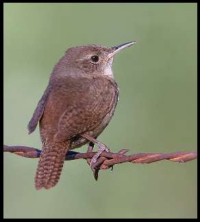 układanie kostki brukowej w Bydgoszczy ceny