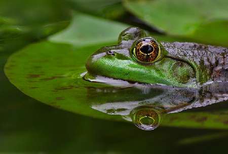 Bydgoszcz ukladanie pozbruku tanio