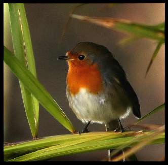 prace ziemne Bydgoszcz