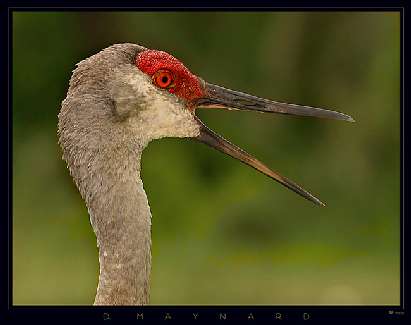 usługi koparko ładowarką Bydgoszcz