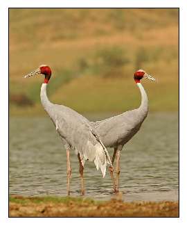 usługi koparko-ładowarką Bydgoszcz usługi koparko-ładowarką Bydgoszcz