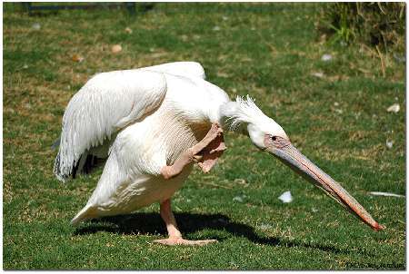 pompy ciepła Włocławek