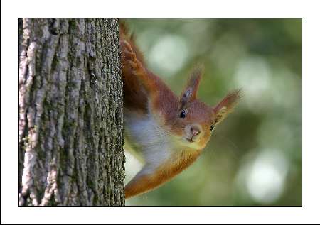 układanie kostki brukowej Inowrocław