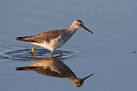 zakładanie kostki brukowej Bydgoszcz