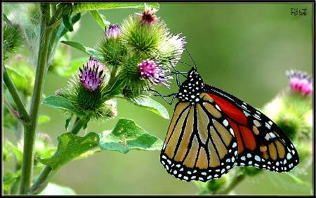 prace ziemne Bydgoszcz