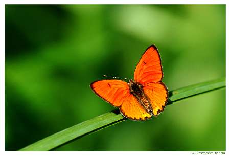 koparki w Bydgoszczy