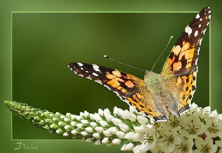 usługi brukarskie w Trzciance