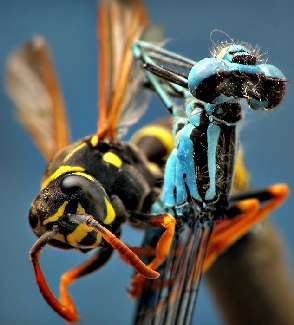 usługi koparką w Bydgoszczy