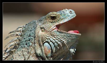 prace ziemne Bydgoszcz