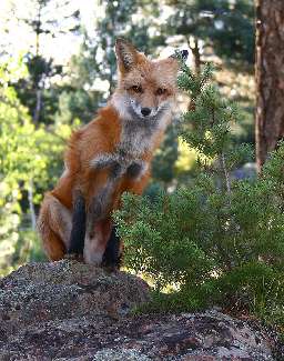 uslugi brukarskie Pila