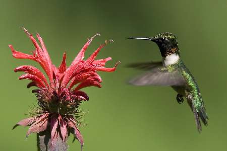 fotowoltaika Wrocław