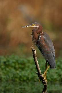 prace ziemne Bydgoszcz