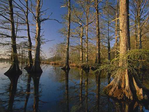 usługi koparko ładowarką Bydgoszcz