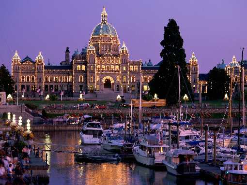 wynajem koparki Bydgoszcz