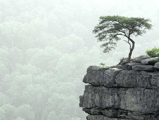 ukladanie pozbruku Bydgoszcz