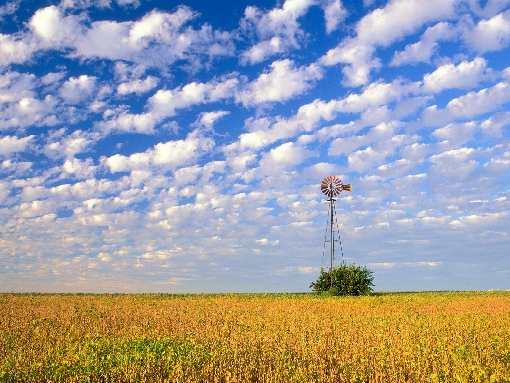 koparko ładowarka Bydgoszcz