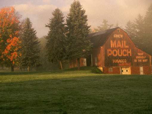 Wałcz firma brukarska