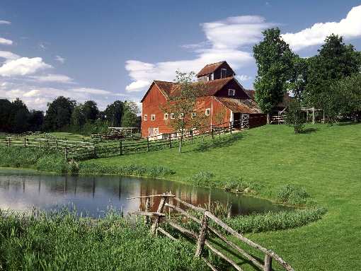 usługi brukarskie w Trzciance
