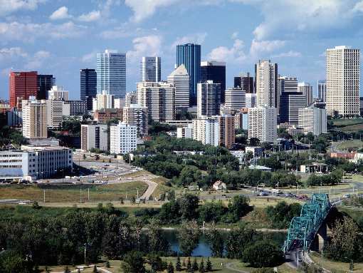 usługi koparką Bydgoszcz cennik