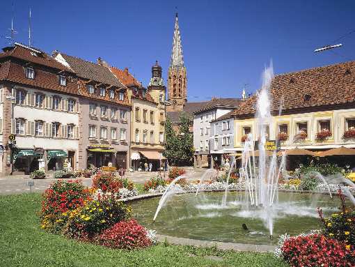 wynajem koparki Bydgoszcz