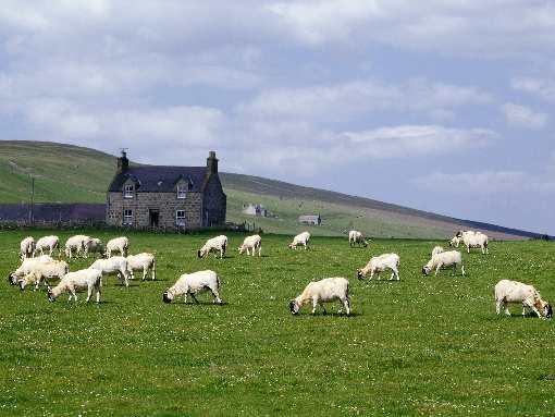 usługi koparko ładowarką Bydgoszcz