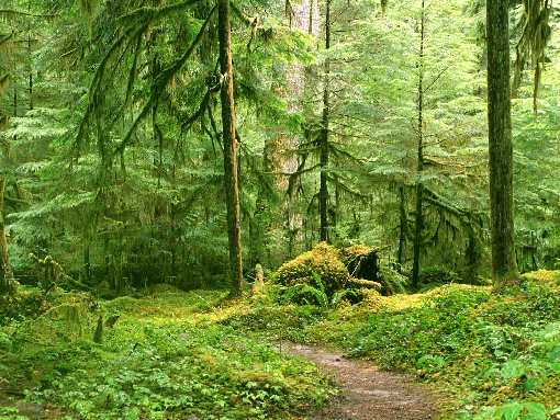 prace ziemne Bydgoszcz