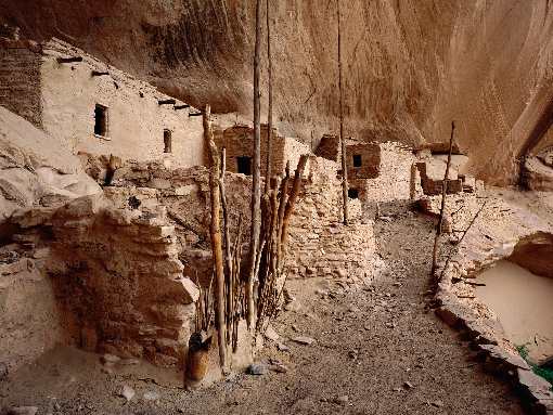 Bydgoszcz roboty koparko ładowarką