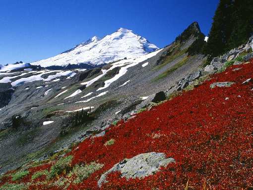 fotowoltaika Pleszew