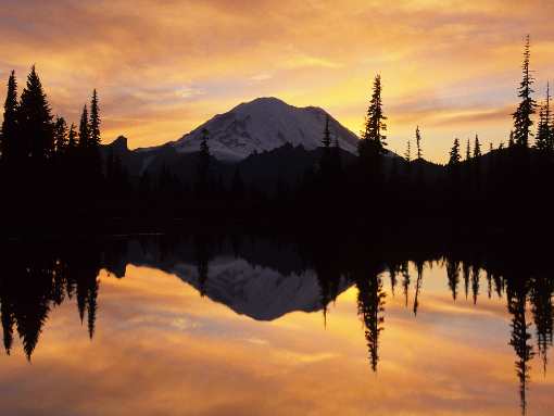 usługi koparką Bydgoszcz