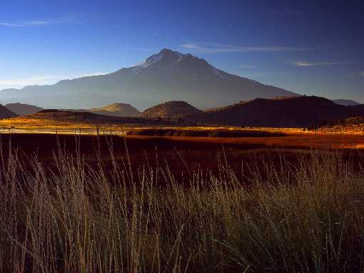 wynajem koparki Bydgoszcz