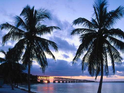 Bydgoszcz tanie układanie płyt ażurowych