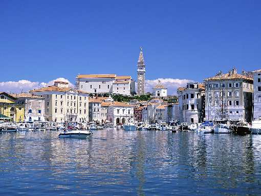 koparko ładowarka Bydgoszcz