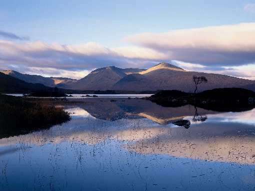 układanie kostki brukowej w Trzciance