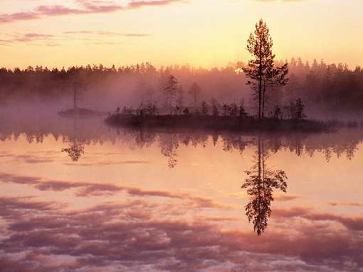 usługi koparką Bydgoszcz