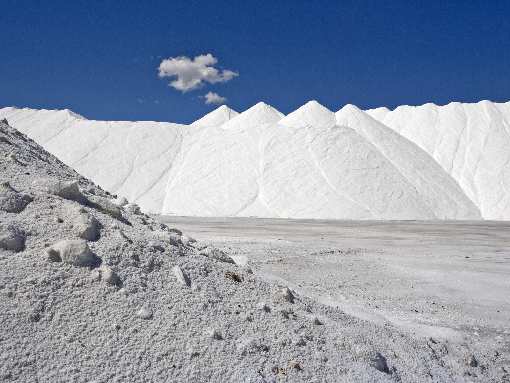 brukarstwo Bydgoszcz