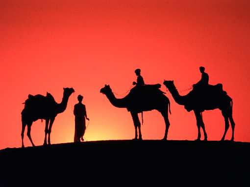 układanie polbruku Konin tanio