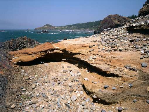 koparko ładowarka Bydgoszcz